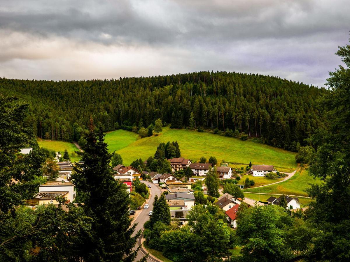 Surrbach Chalet Baiersbronn Eksteriør billede