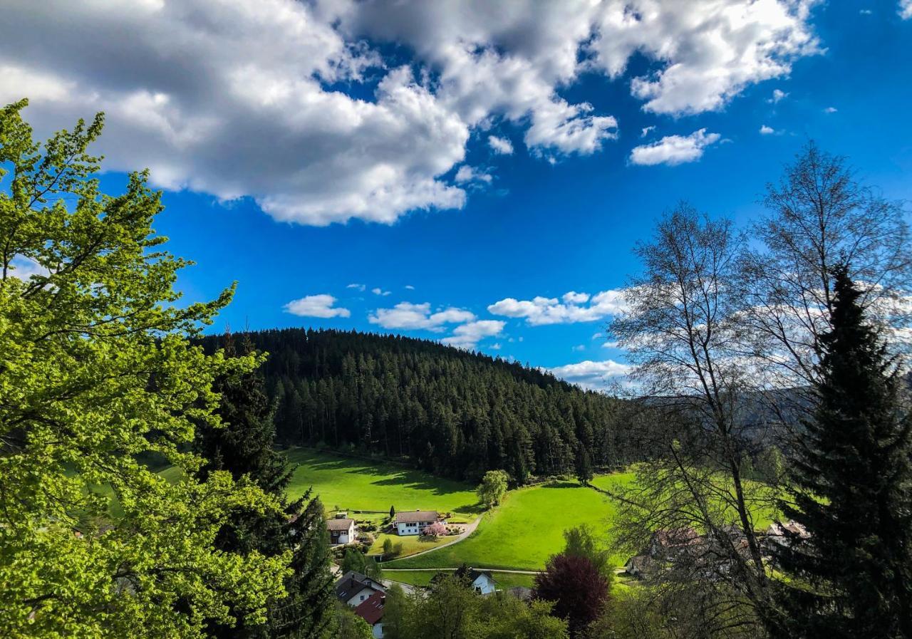 Surrbach Chalet Baiersbronn Eksteriør billede